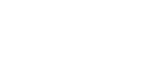 Momentum Wealth