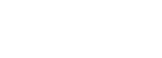 Steyn Capital Management